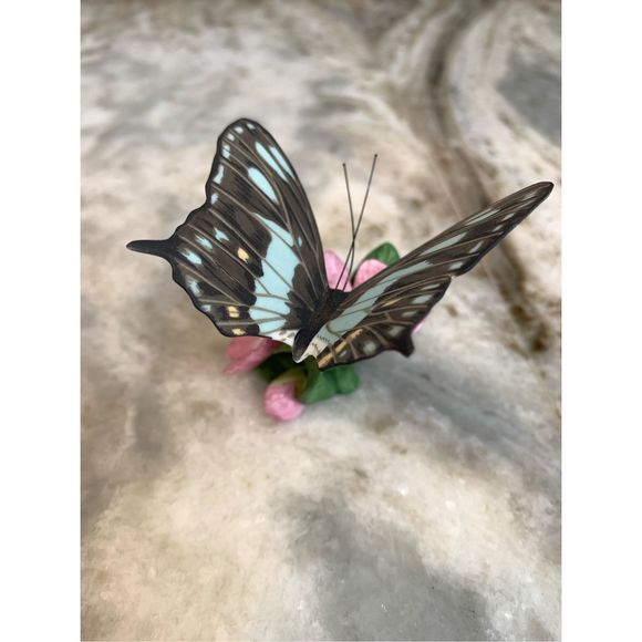Franklin Mint Graphium Swallowtail Butterfly #vintage #collector #mothers day - Picture 2 of 4